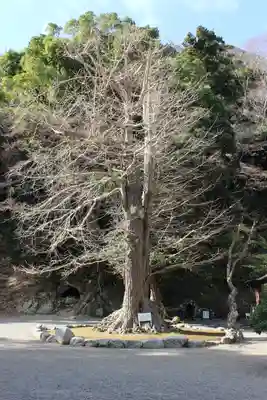 安房神社(千葉県)