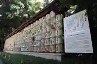 明治神宮(東京都)