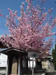 五社神社　諏訪神社(静岡県)