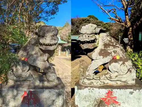 畑子安神社の狛犬