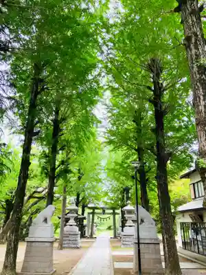 金村別雷神社(茨城県)