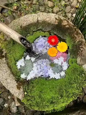 柳谷観音 楊谷寺の手水舎