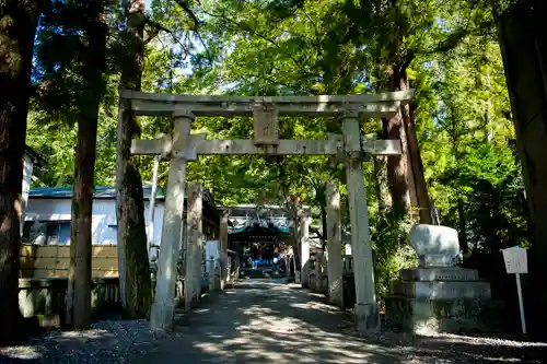 椙本神社の鳥居