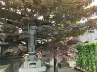 覚王寺(千葉県)