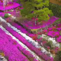 寿量山 速成寺の自然