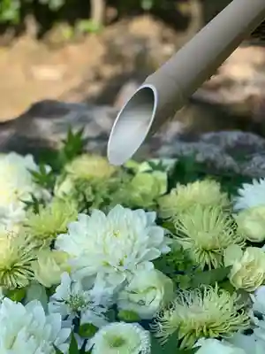 浄誓寺の手水舎