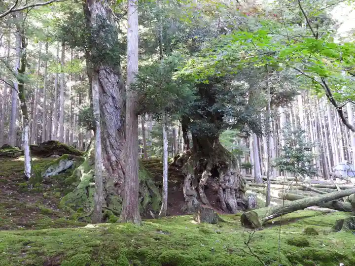 若狭神宮寺(福井県)