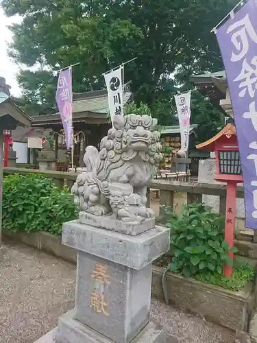 川越八幡宮の狛犬