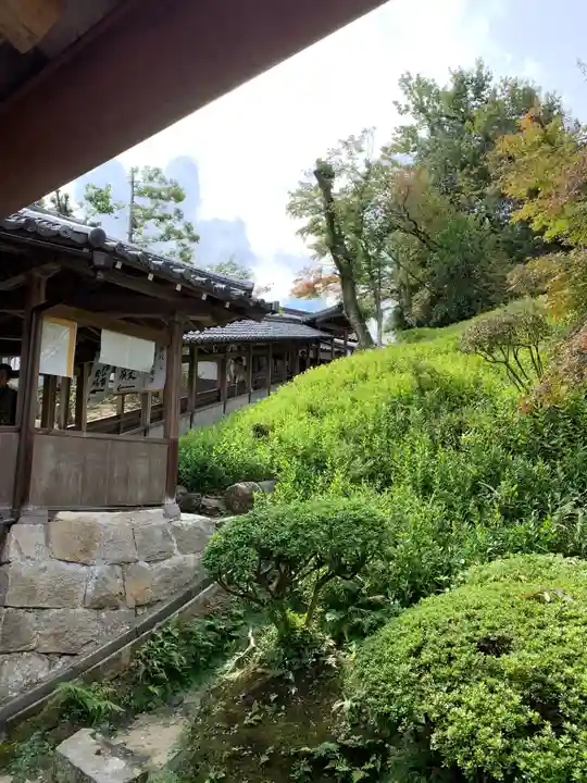 達磨堂 円福寺 のその他建物