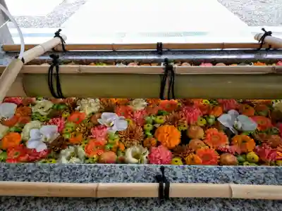 富岡八幡宮(東京都)