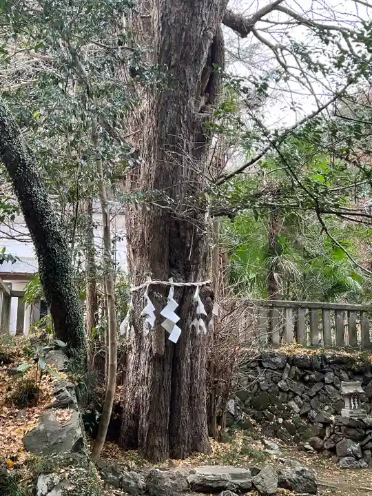 武蔵二宮 金鑚神社(埼玉県)