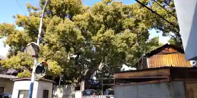 三島神社(大阪府)