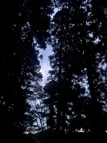 大宮温泉神社(栃木県)