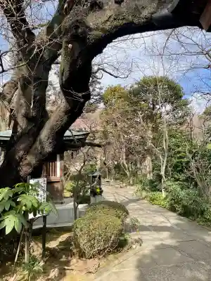 無量寺(東京都)