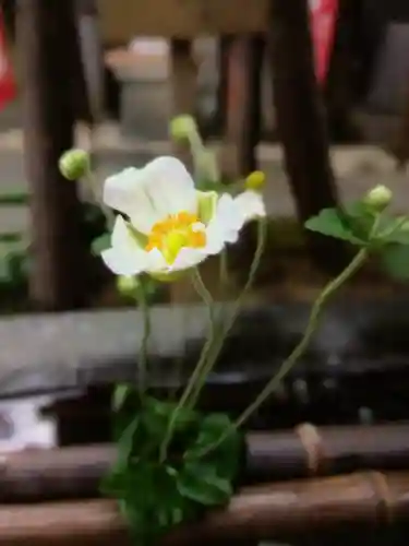 陽運寺(東京都)