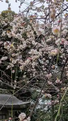 上宮天満宮(大阪府)