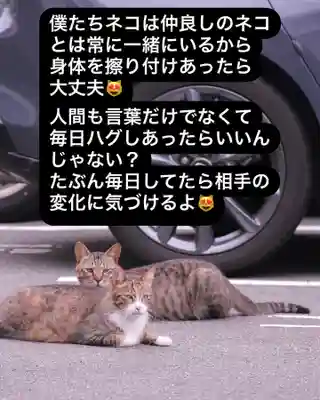 専念寺(大阪府)