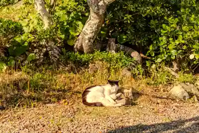 大御神社(宮崎県)
