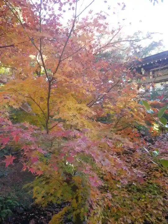 鶴岡八幡宮の自然
