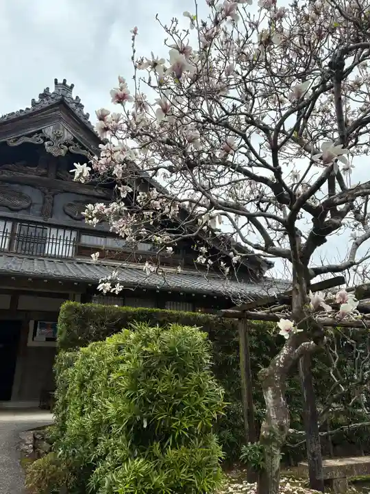 龍潭寺(静岡県)