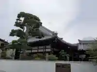 晴竜寺の本殿・本堂