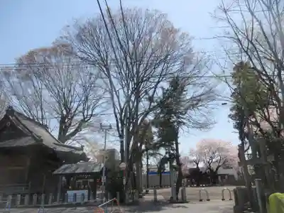 須賀神社(群馬県)