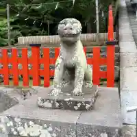 鶴岡八幡宮の狛犬
