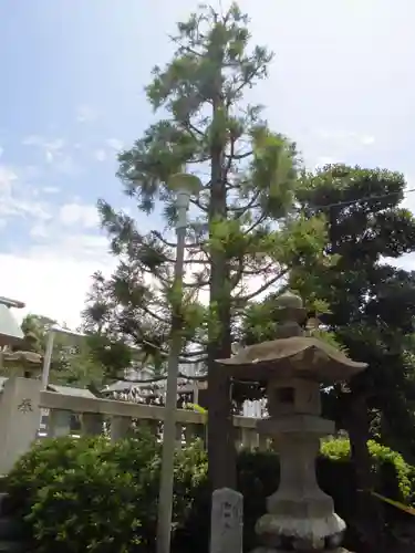 杉山神社の自然