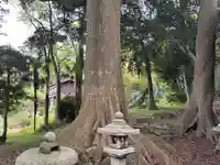 一言主神社(福井県)