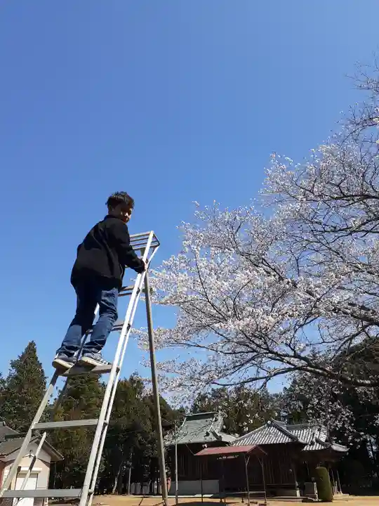 伏木香取神社の自然