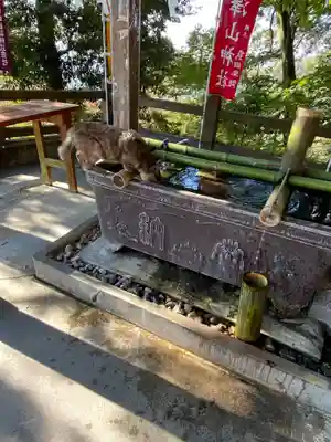 唐澤山神社の手水舎