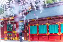 志波彦神社・鹽竈神社(宮城県)