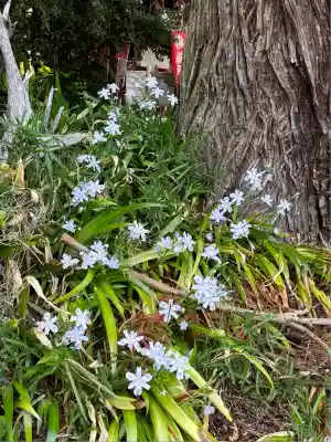 岩戸別神社(栃木県)