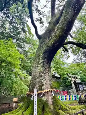事任八幡宮(静岡県)