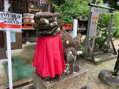 甲子園八幡神社の狛犬