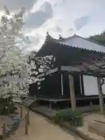 大宝寺の本殿・本堂