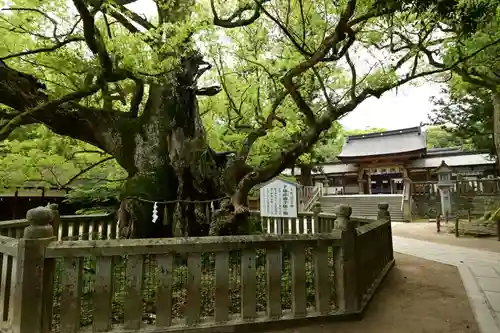 大山祇神社(愛媛県)