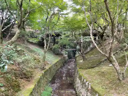 東福禅寺（東福寺）(京都府)