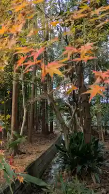 建部大社(滋賀県)