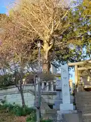 矢切神社の建物その他