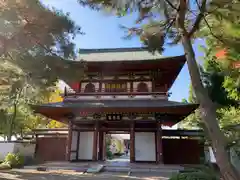 善導寺の山門