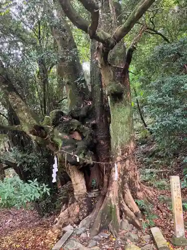 石清水八幡宮(京都府)