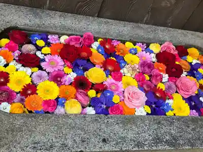 菅生神社(愛知県)