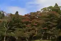 土津神社|こどもと出世の神さまの庭園