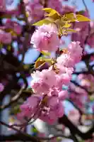 福王山 慈眼寺の自然