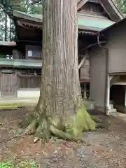 素鵞神社(茨城県)