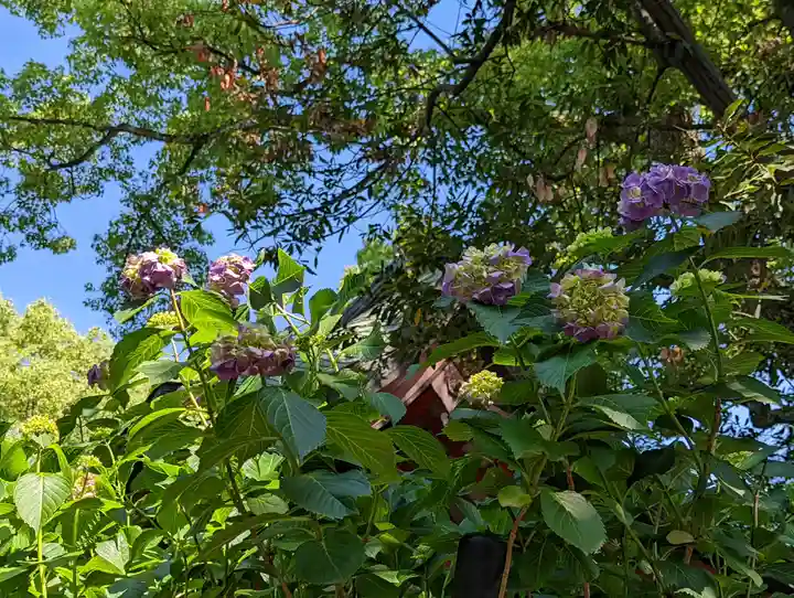 藤森神社(京都府)