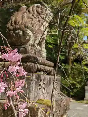 岡崎神社(京都府)