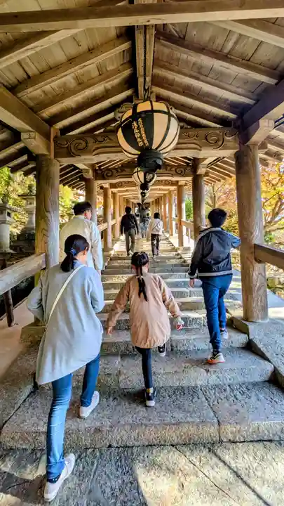 長谷寺(奈良県)