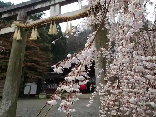 大石神社の鳥居